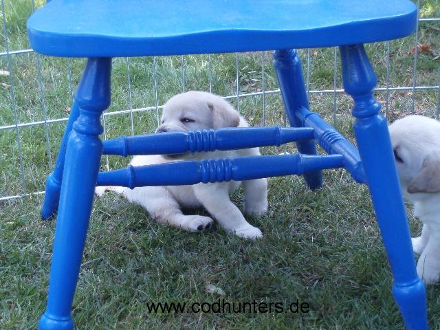 Avalanche_uinter_dem_Stuhl