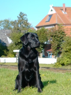 Frida vor dem Bahnhof